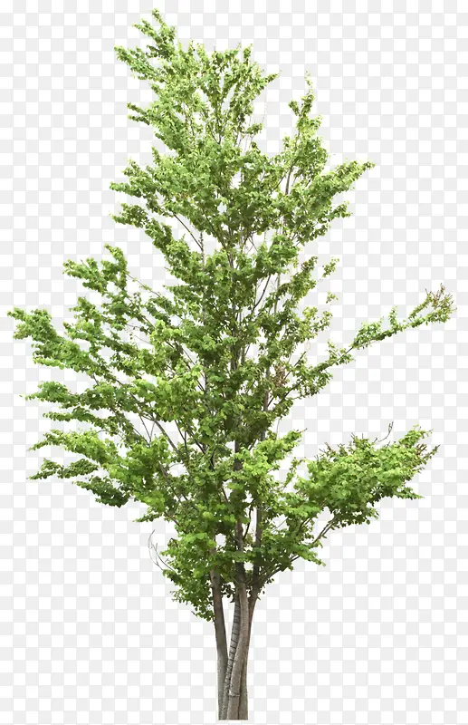 ��-������