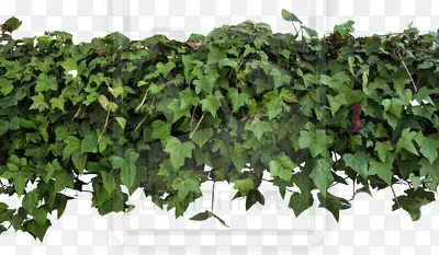 ��-������