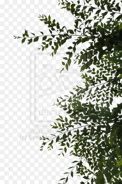 ��-������