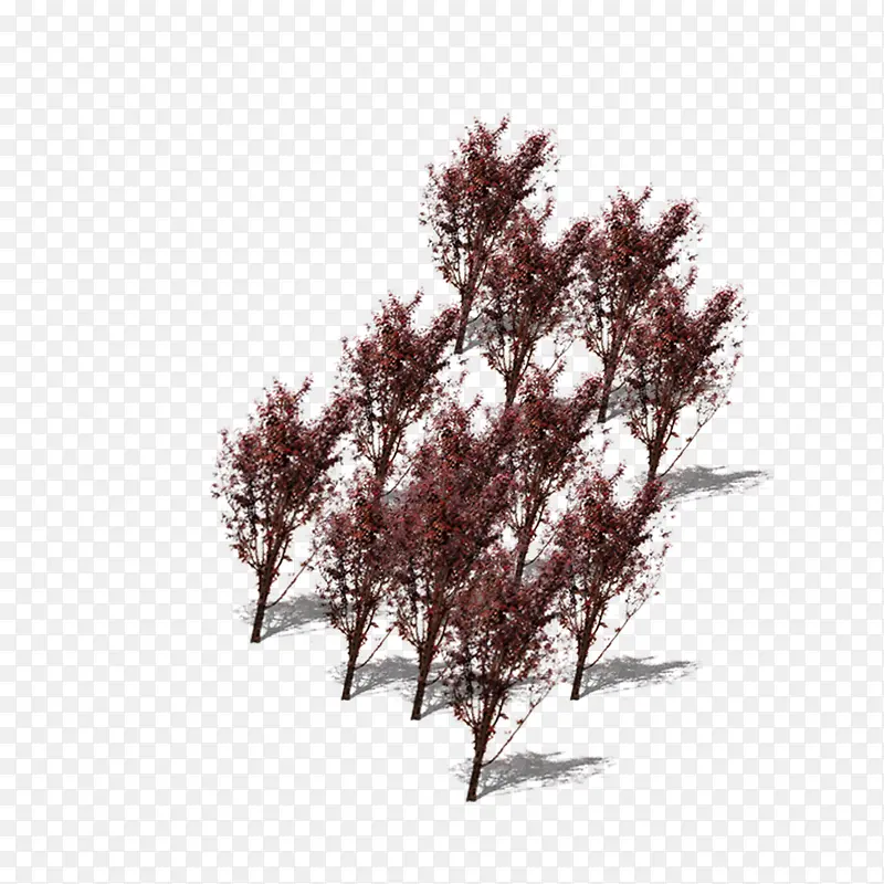 ���������-������