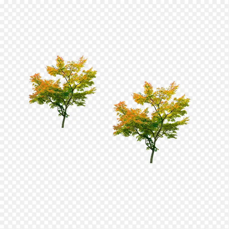 ���������-������