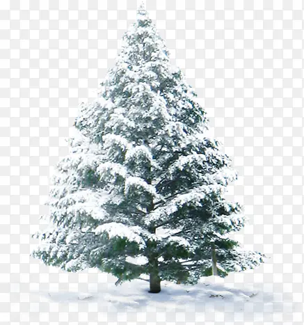 ������Ӱ����ϳ��ز�ʥ�����ز�-������