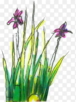 �ֻ�ˮ����ɫС��-������