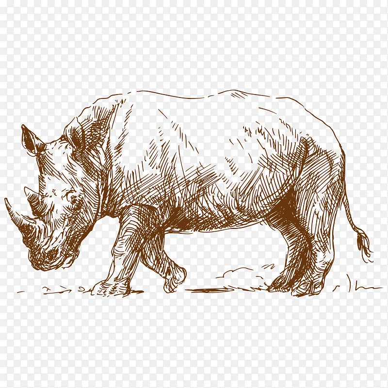 ���� ����-������