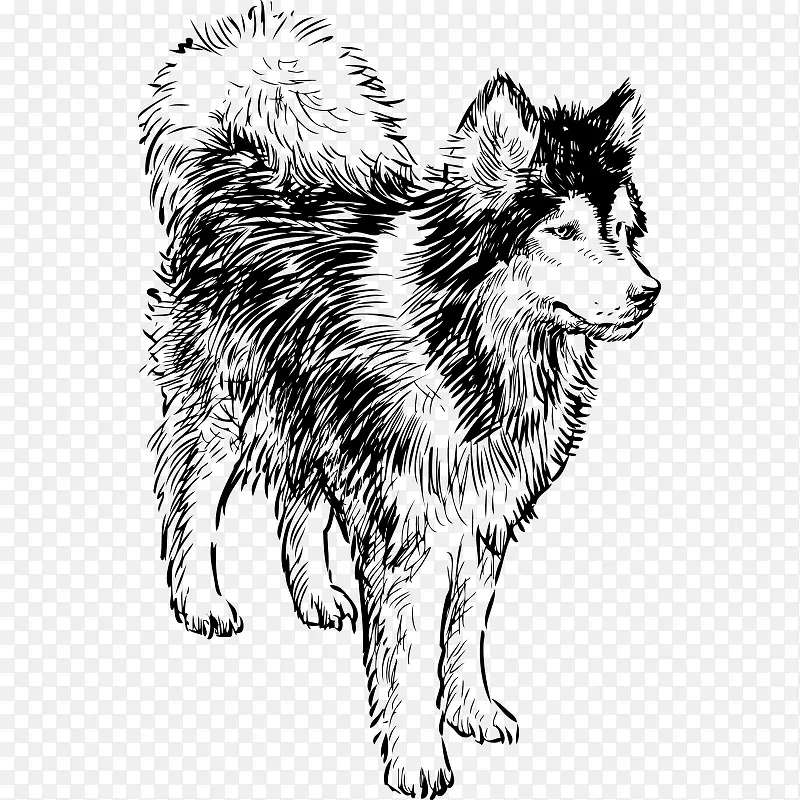 ���趯�� ����-������