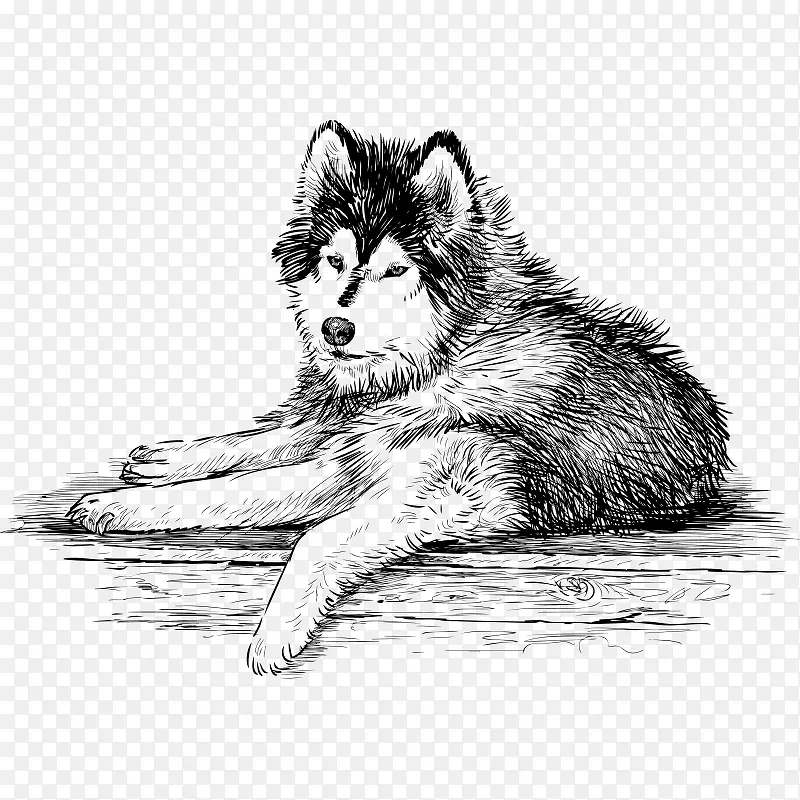 ���趯�� ����-������