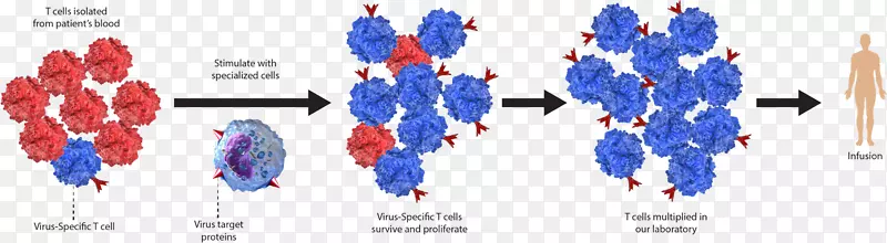 �ߵ�״��Ԫ-������