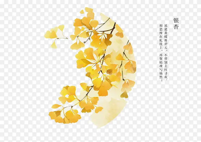 �ֻ滨��-������