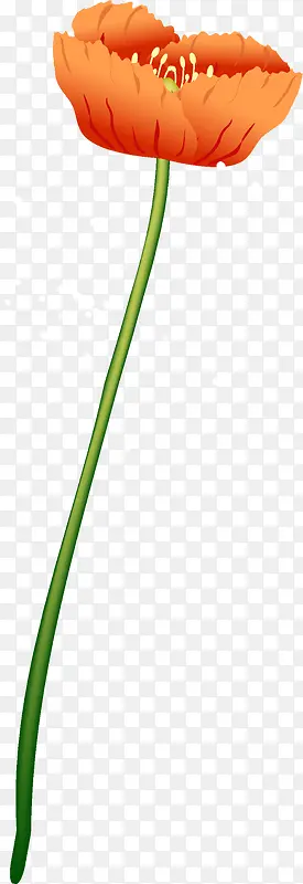 ��������廭�ز�-������