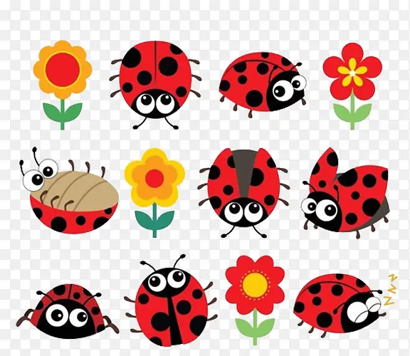 ����ư��-������