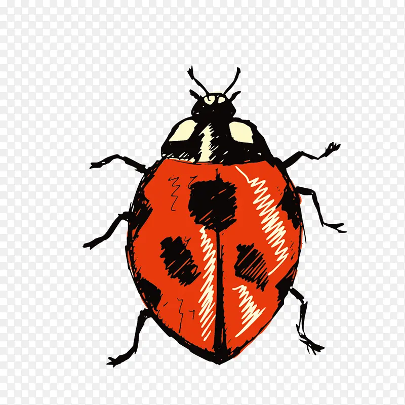 ư��-������