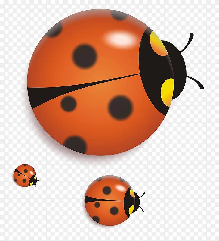 ��ͨ����ư��-������