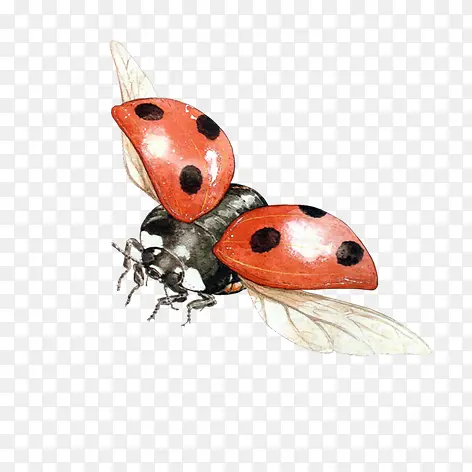 ��ͨ����-������