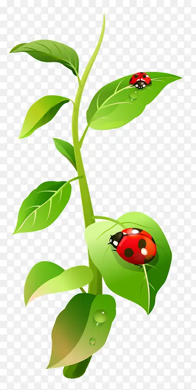 ư��-������