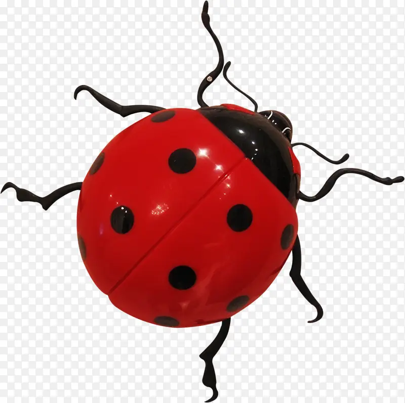 ư��-������