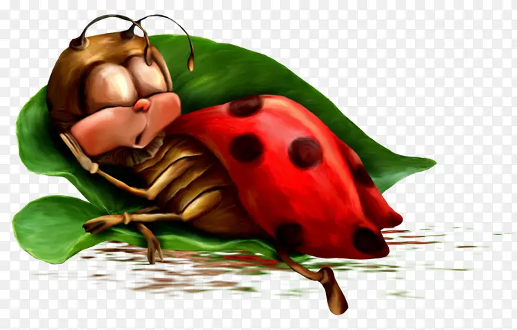 ư��-������