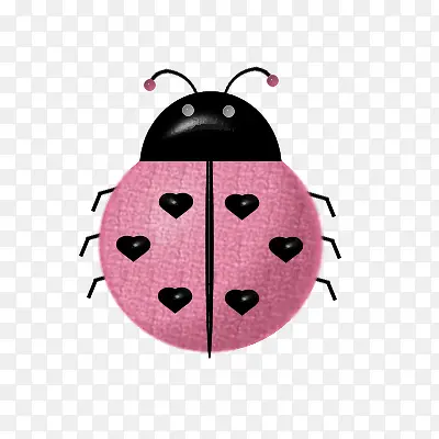 ����ư��-������