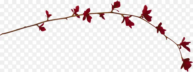 ��ɫҶ����֦װ��-������