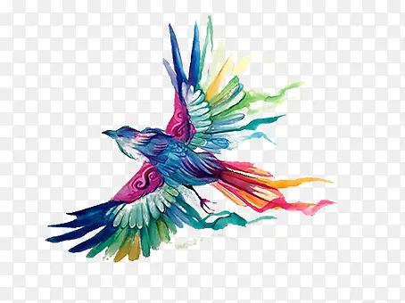 ��ɫ��-������