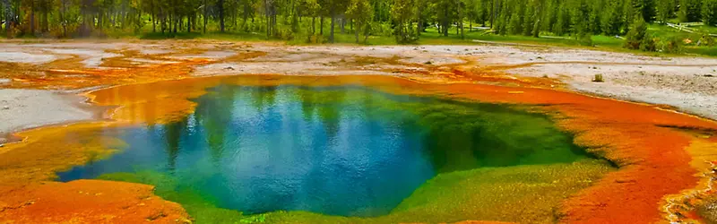 ������Ȼ��ɫ�ز�С���ز�-������