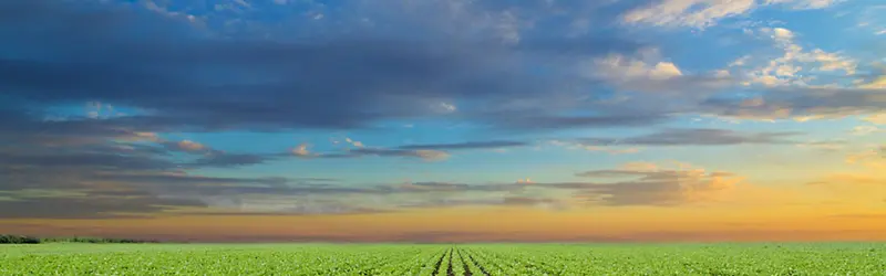 ������Ȼ��ɫ�ز�С���ز�-������