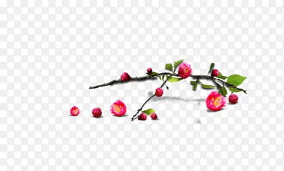 ������֦������������ʸ��ͼƬ-������