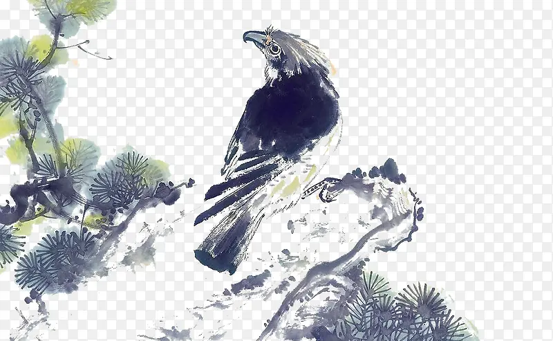 ˮīӥ�������ز�-������