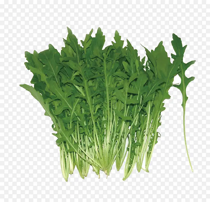 ����ͼƬ�ز�-������