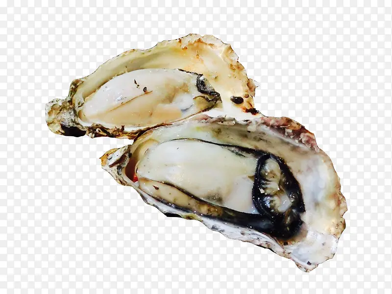 ��������򺺣��ͼƬ�ز�-������