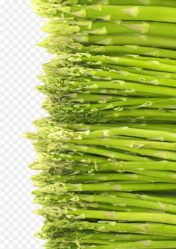 ��ɫ����-������