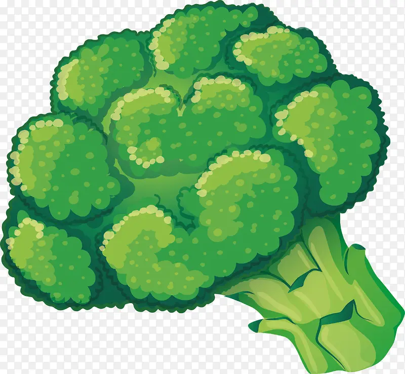 ��ɫ������-������