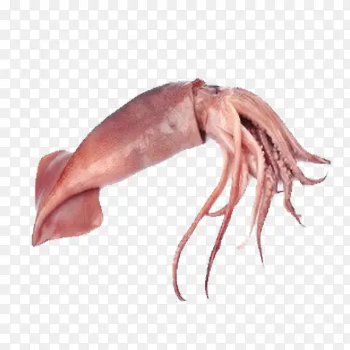 ����-������