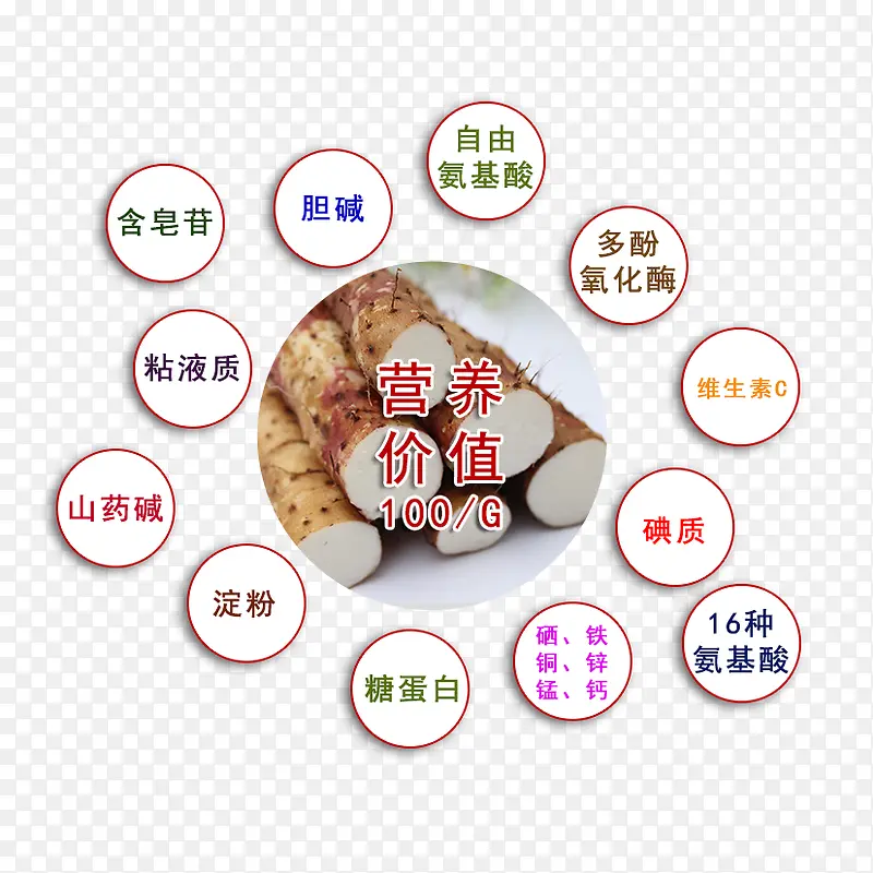 ɽҩӪ����ֵ-������