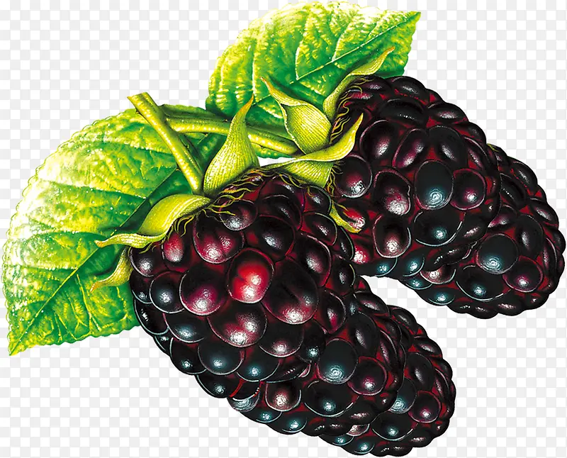 �ֻ���ɫӪ��ˮ��-������