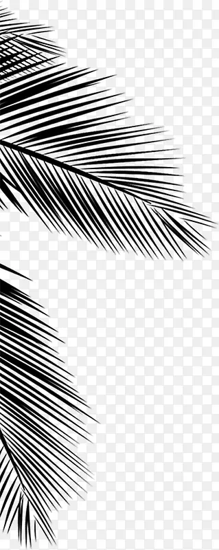 ������Ӱ�ֻ��ɫ��Ҷ-������