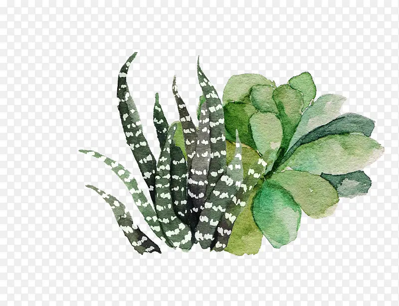 ˮ���ֻ�-������