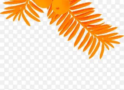 �ֻ��ɫˮ����Ҷ-������