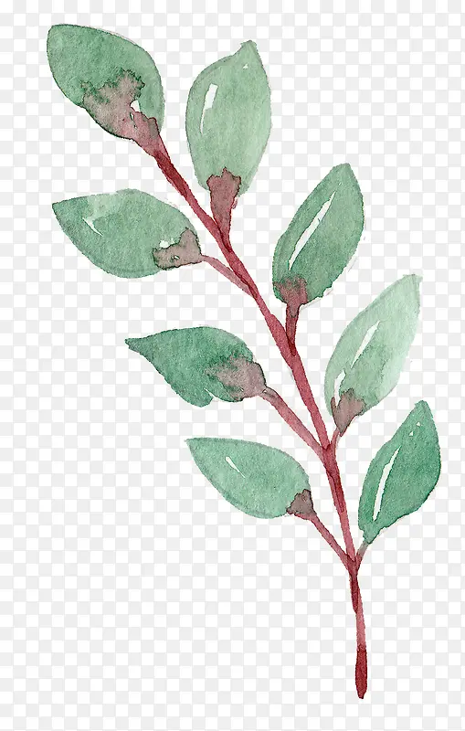 �ֻ�ˮ������Ҷװ��-������