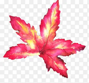 �ۻ�ɫ�ֻ�ˮ����Ҷ-������