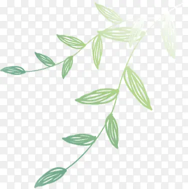 �ɰ��ֻ�������Ҷ-������