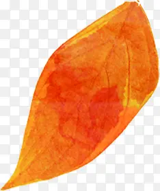 �ֻ�ˮ�ʻ�ɫ��Ҷ-������