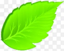 Ψ����ͨ��Ҷ����-������