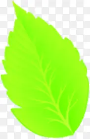 ���̿�ͨ�ɰ���Ҷ-������