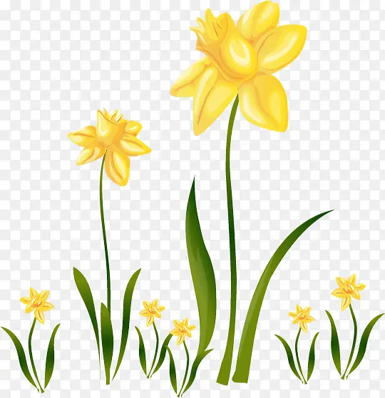 ��ɫС���ɰ�Ψ��-������