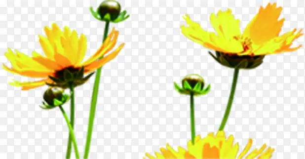 �ɰ���ɫ�ֻ�С��-������