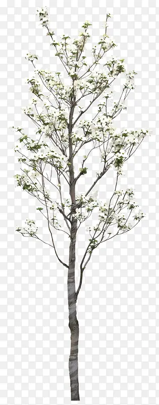 ����װ��-������