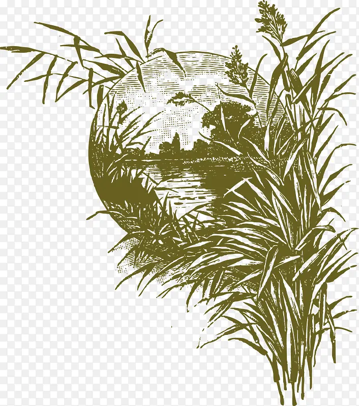 �ֱ��ֻ�-������