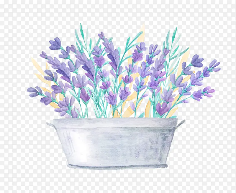 Ψ��޹�²�-������