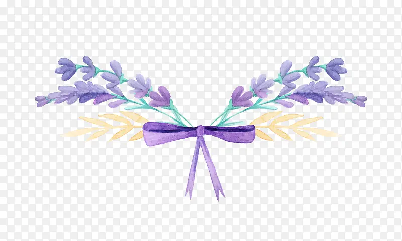 Ψ��޹�²�-������