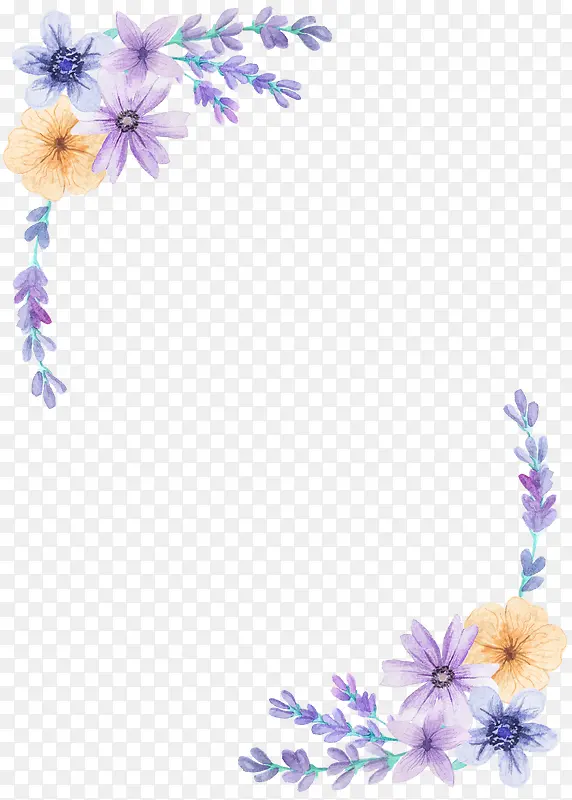 Ψ��޹�²�-������